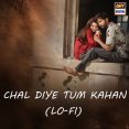 Chal Diye Tum Kahan